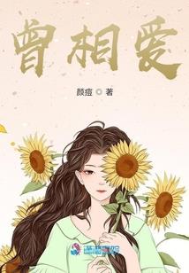 我的卡牌，颜值至上