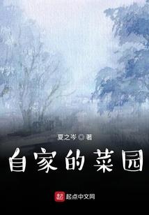 又遇晨曦
