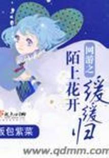 八荒飘零录