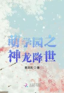 重生国民男神，别追了