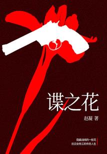 天元秘录
