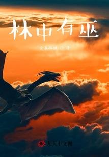 我的太阳你的影子