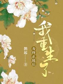 美男子自在书中