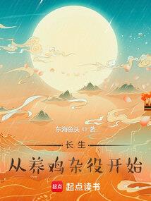 一只猫的记忆录