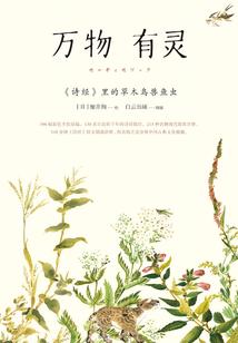 穿越之盛妆