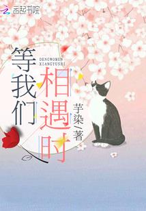 凤成龙