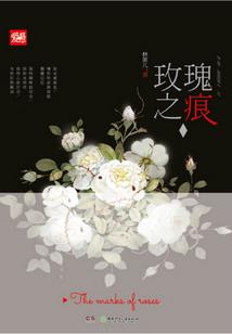 都市之积善扬恶