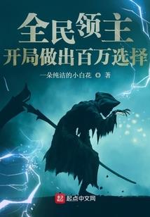 夫妻的名义