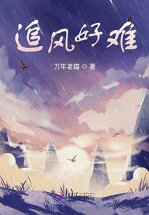 无敌从我看见BOSS血条开始