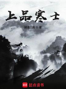 玄盗手札