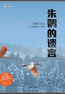 心动赏金