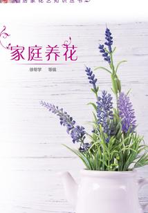 时光千度
