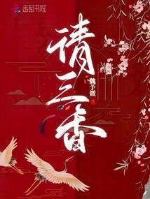 谭小凤传奇