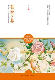九尾轮回劫