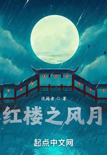 破壁，镜花计划