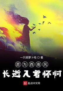 剑指天宇