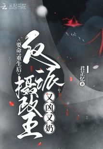 逆命贵妃