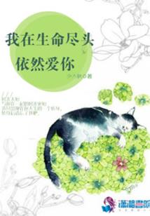 长梦蝶舞时节