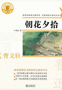 伤城之情系前妻