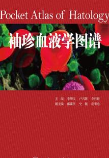快穿之心意之旅