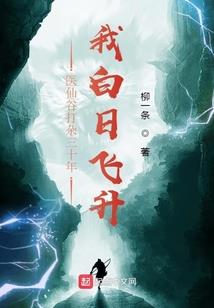 荣光无尽之王牌特工