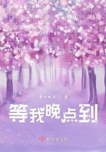 火影之情圣