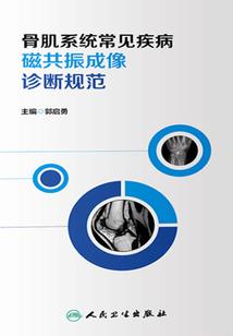 晚清豪侠传