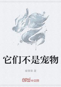 梦观