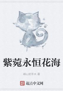 盗版破坏王