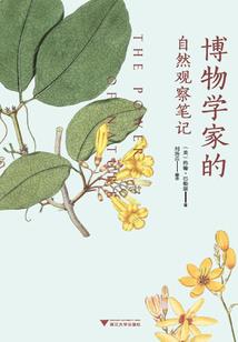 魔君和他的夫人