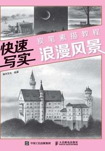 邪妃传