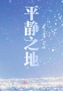 橘子牌鸡汤