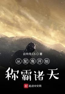 极品杀手的养老生活