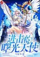 一品靖王妃