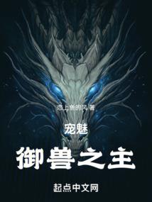 穿越之蝶舞