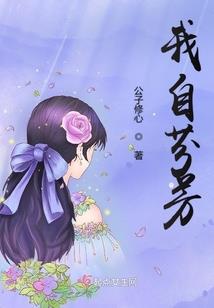 手中星辰
