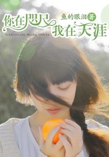 君剑风尘