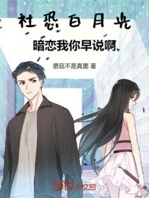 玄策大陆