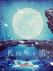 黑莲王妃俏王爷