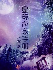 北境王传奇