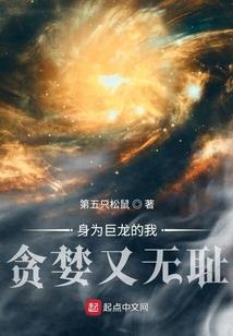 落阳情归何处寻