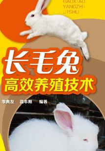你与我的年华