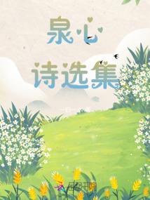 斗乘大陆