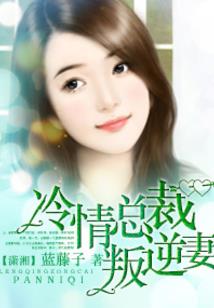 王者荣耀之幻想师