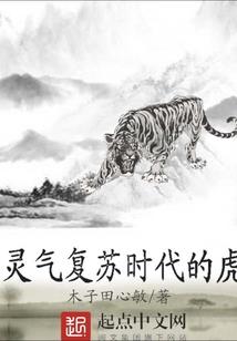匆匆流金的日子