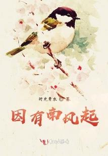 哈利波特之黑夜途径