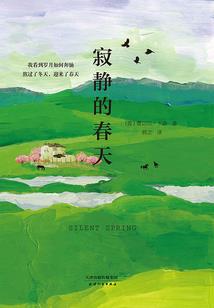 哄你入睡