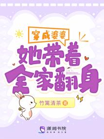 段风云传奇