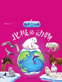 嘿！我的小伙伴们