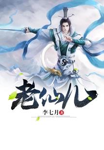 流星情缘